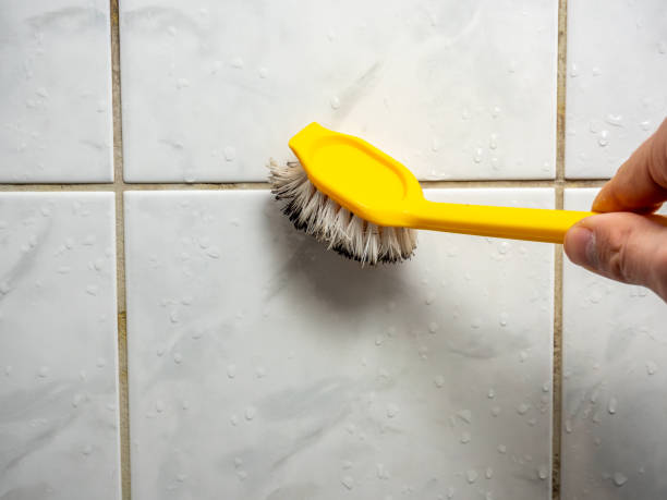 Best Best Mold Removal Companies  in Leonard, TX