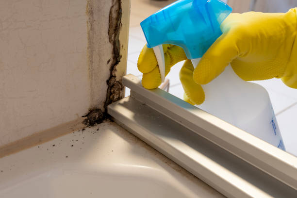 Best Residential Mold Removal  in Leonard, TX