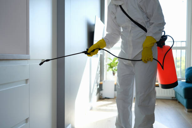 Professional Mold Removal in Leonard, TX
