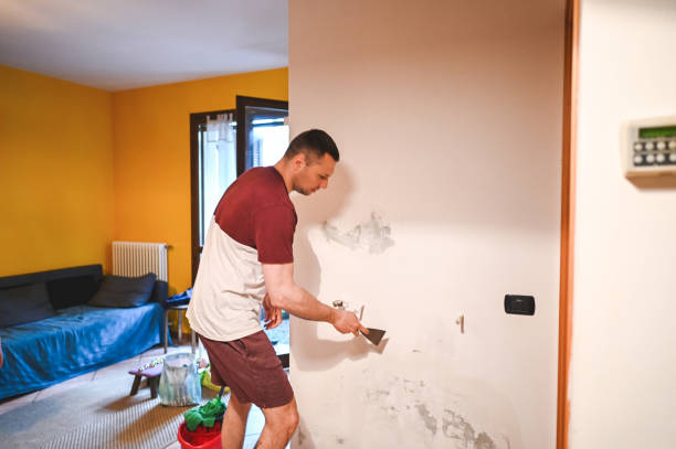 Best Office Mold Removal Services  in Leonard, TX