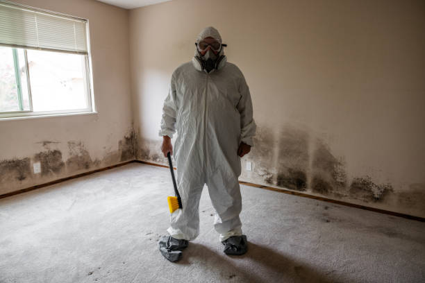 Best Professional Mold Removal  in Leonard, TX